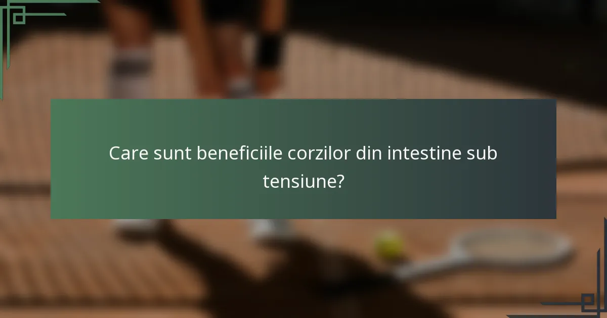 Care sunt beneficiile corzilor din intestine sub tensiune?