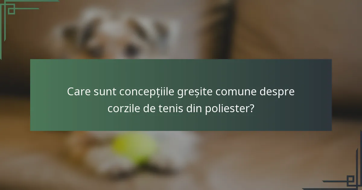 Care sunt concepțiile greșite comune despre corzile de tenis din poliester?