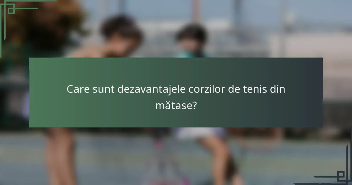 Care sunt dezavantajele corzilor de tenis din mătase?