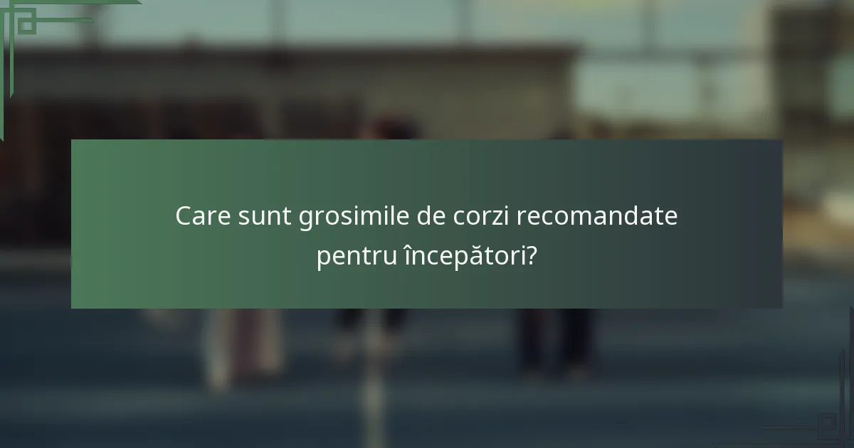 Care sunt grosimile de corzi recomandate pentru începători?