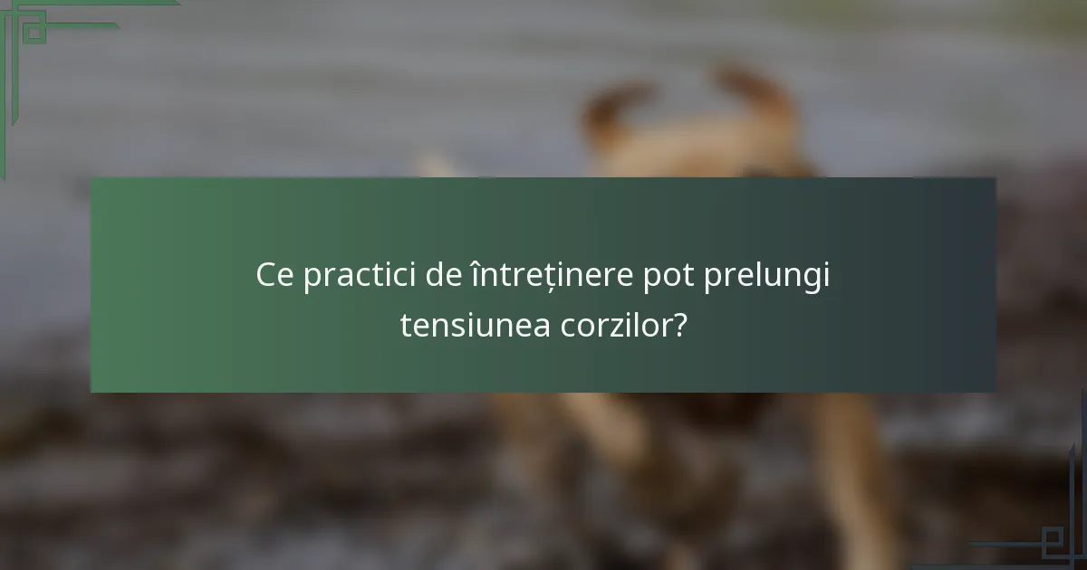Ce practici de întreținere pot prelungi tensiunea corzilor?