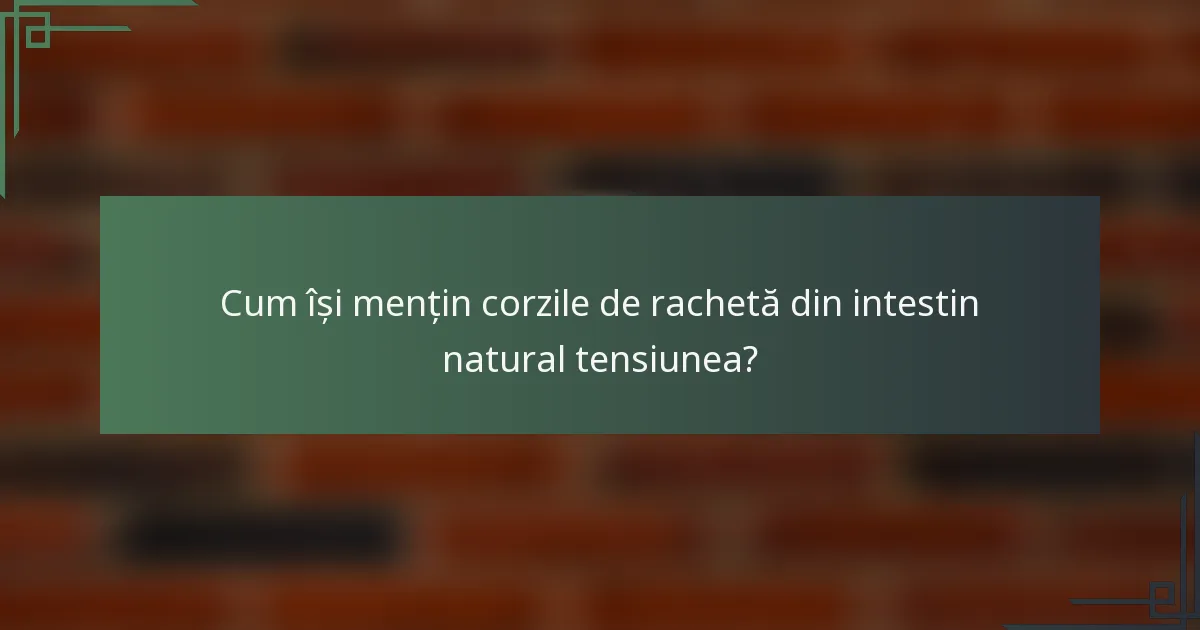 Cum își mențin corzile de rachetă din intestin natural tensiunea?