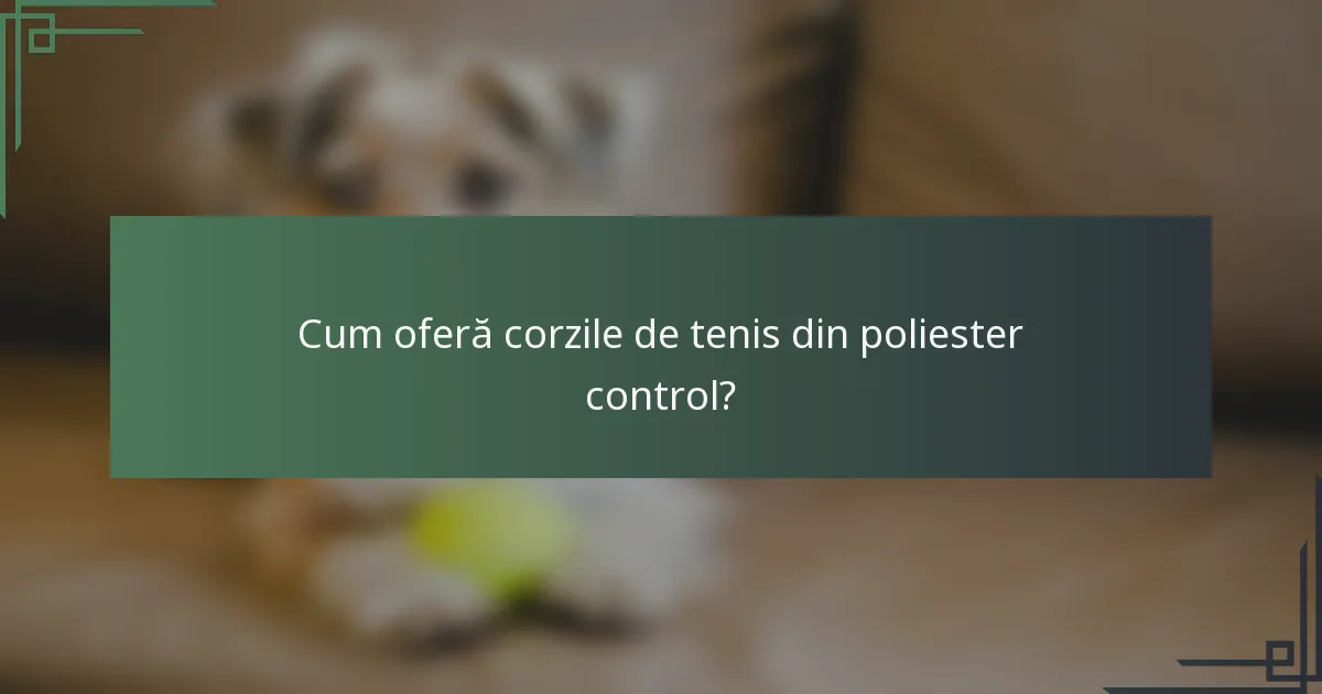 Cum oferă corzile de tenis din poliester control?