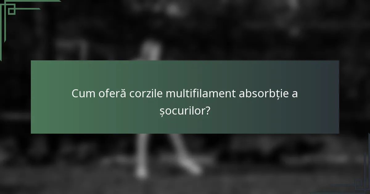 Cum oferă corzile multifilament absorbție a șocurilor?
